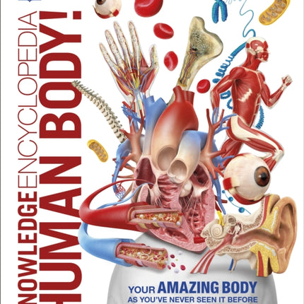 Knowledge Encyclopedia Human Body!