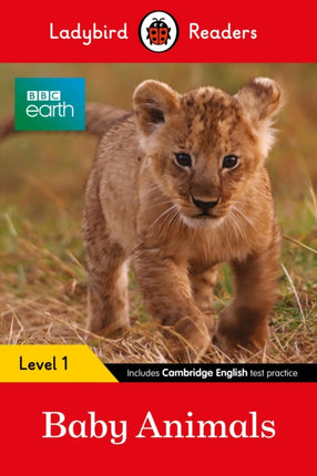Ladybird Readers Level 1  BBC Earth  Baby Animals