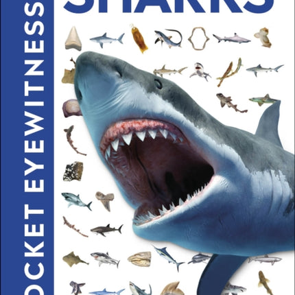 Pocket Eyewitness Sharks: Facts at Your Fingertips