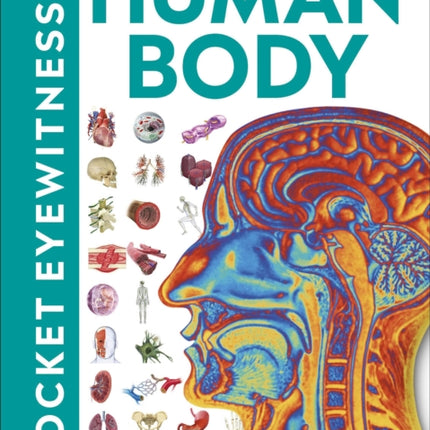 Pocket Eyewitness Human Body: Facts at Your Fingertips