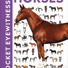 Collection image for: Horses and ponies: general interest Books