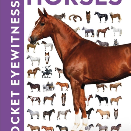 Pocket Eyewitness Horses: Facts at Your Fingertips