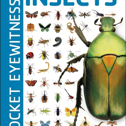 Pocket Eyewitness Insects: Facts at Your Fingertips