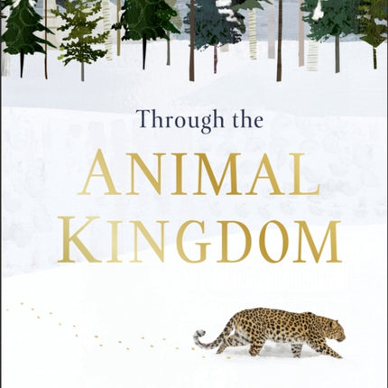 Through the Animal Kingdom: Discover Amazing Animals and Their Remarkable Homes