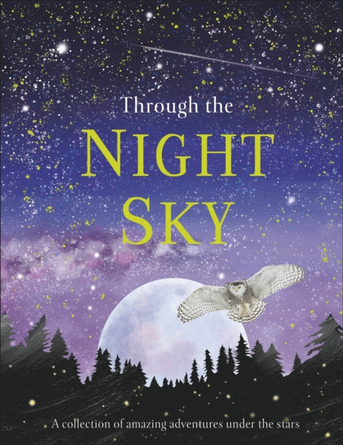 Through the Night Sky: A collection of amazing adventures under the stars