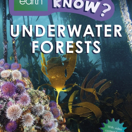 Do You Know Level 3  BBC Earth Underwater Forests