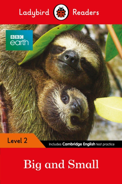 Ladybird Readers Level 2  BBC Earth  Big and