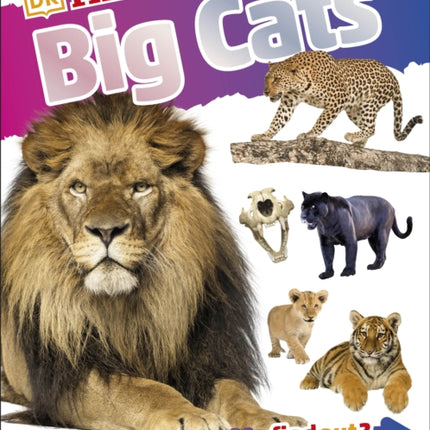 DKfindout! Big Cats