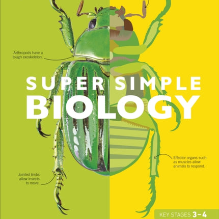 Super Simple Biology: The Ultimate Bitesize Study Guide