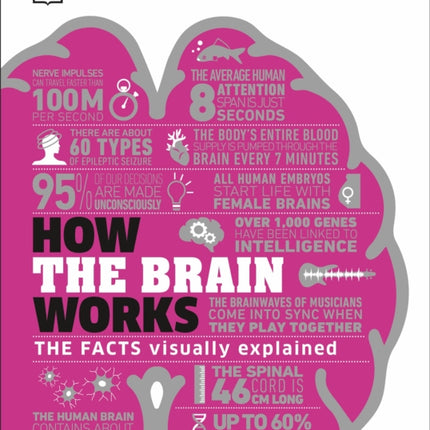 How the Brain Works: The Facts Visually Explained