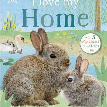 I Love My Home: A pop-up book about animal families and their homes