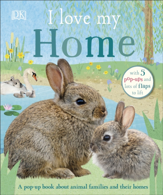 I Love My Home: A pop-up book about animal families and their homes