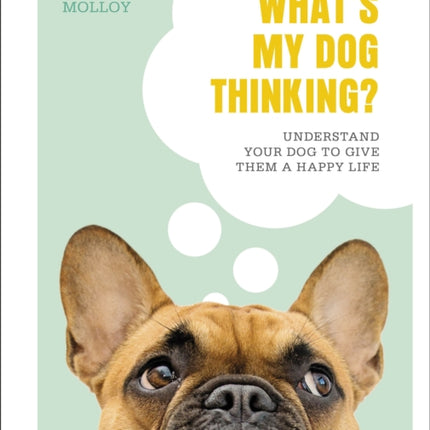 What's My Dog Thinking?: Understand Your Dog to Give Them a Happy Life