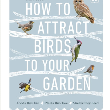 How to Attract Birds to Your Garden: Foods they like, plants they love, shelter they need