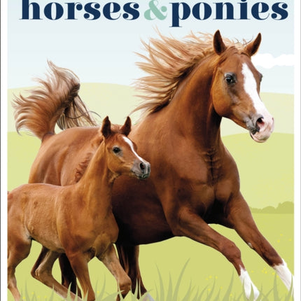 Horses & Ponies: Everything You Need to Know, From Bridles and Breeds to Jodhpurs and Jumping!