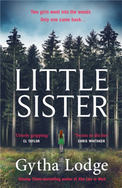 Little Sister Is she witness victim or killer A nailbiting thriller with twists youll never see coming