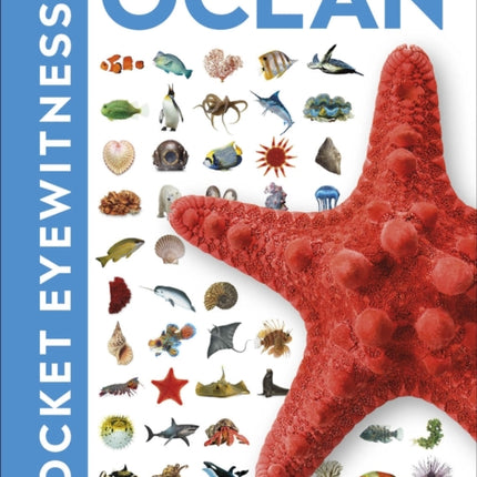 Ocean: Facts at Your Fingertips