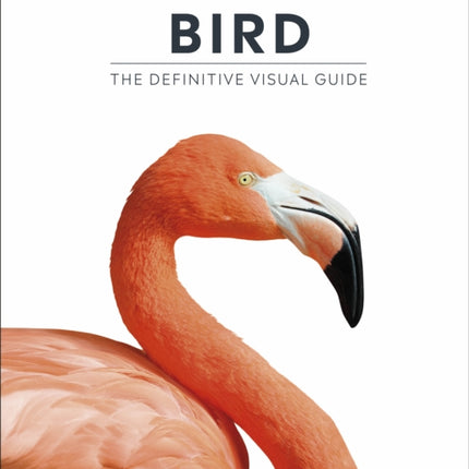 Bird: The Definitive Visual Guide