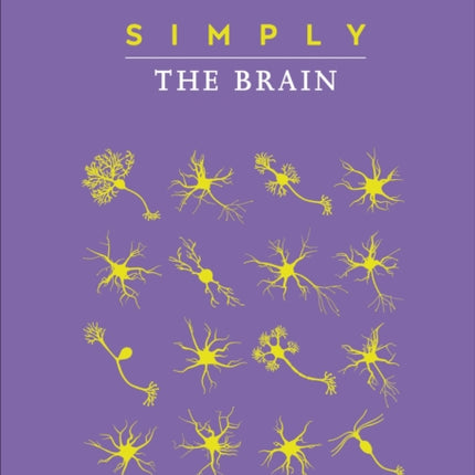 Simply The Brain