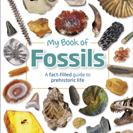 My Book of Fossils: A fact-filled guide to prehistoric life