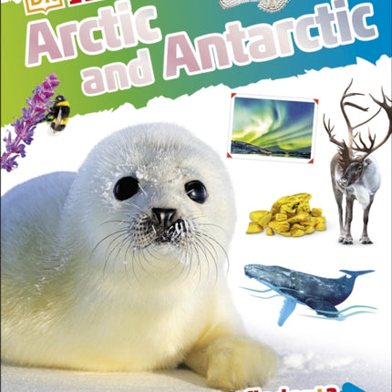 DKFindout! Arctic and Antarctic