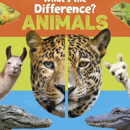 What's the Difference? Animals: Spot the difference in the animal kingdom!