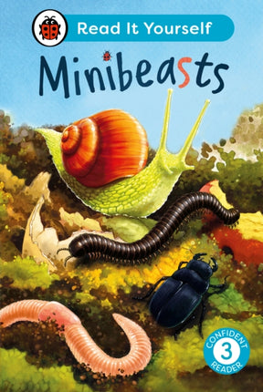 Minibeasts Read It Yourself  Level 3 Confident