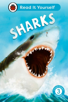 Sharks Read It Yourself  Level 3 Confident Reader