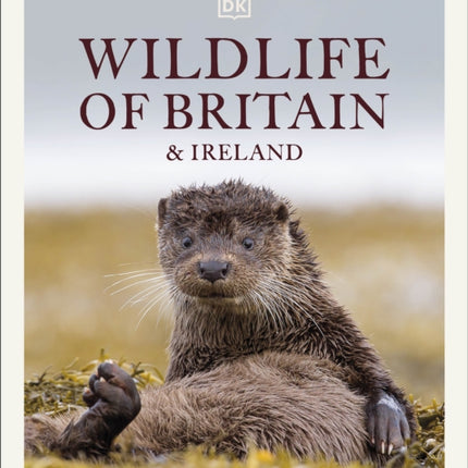 Wildlife of Britain and Ireland: Over 1,400 Species in Incredible Photographic Detail