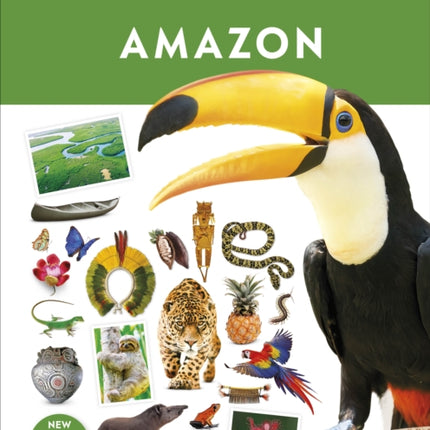 Amazon