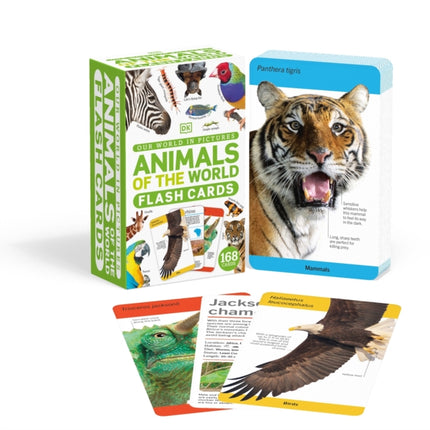 Our World in Pictures Animals of the World Flash Cards