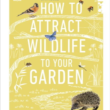 How to Attract Wildlife to Your Garden: Foods They Like, Plants They Love, Shelter They Need