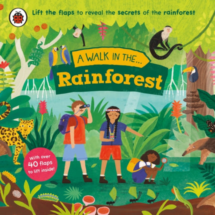 A Walk in the Rainforest