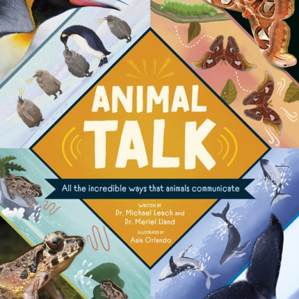 Animal Talk: All the Incredible Ways that Animals Communicate