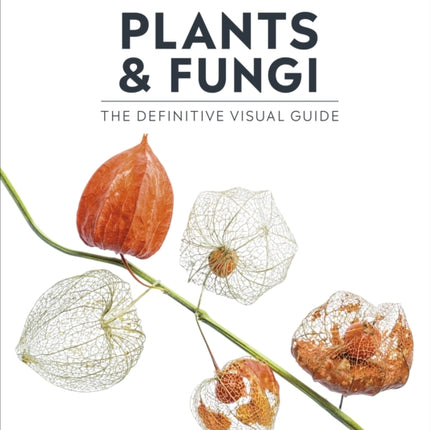 Plants and Fungi