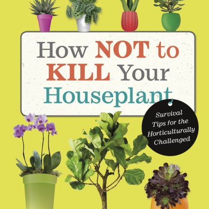 How Not to Kill Your Houseplant: Survival Tips for the Horticulturally Challenged