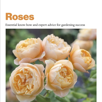 Grow Roses: Essential Know-how and Expert Advice for Gardening Success