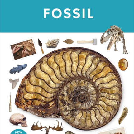 Fossil