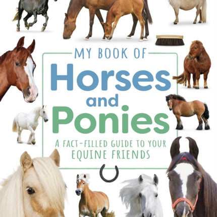 My Book of Horses and Ponies