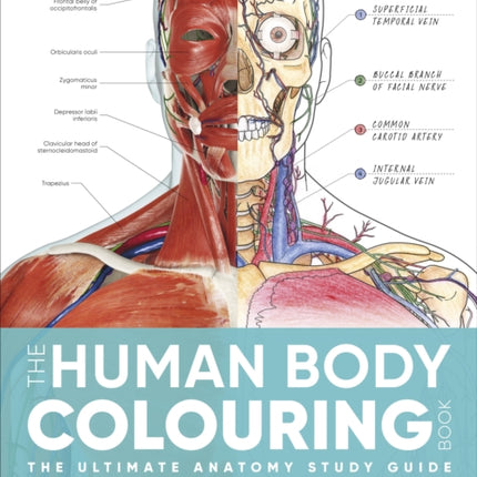 The Human Body Colouring Book