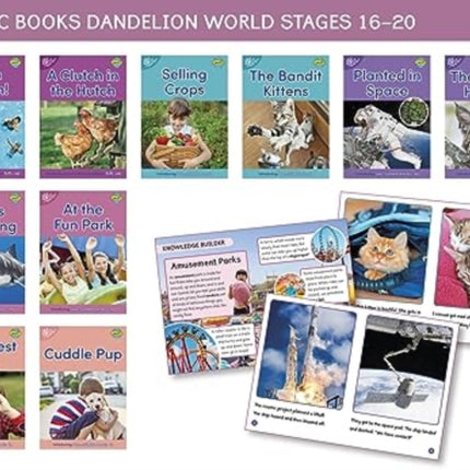 Phonic Books Dandelion World Stages 1620