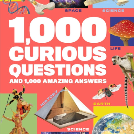 1000 Curious Questions