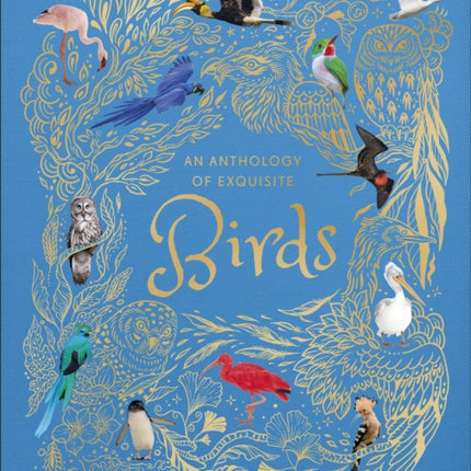 An Anthology of Exquisite Birds