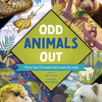 Odd Animals Out