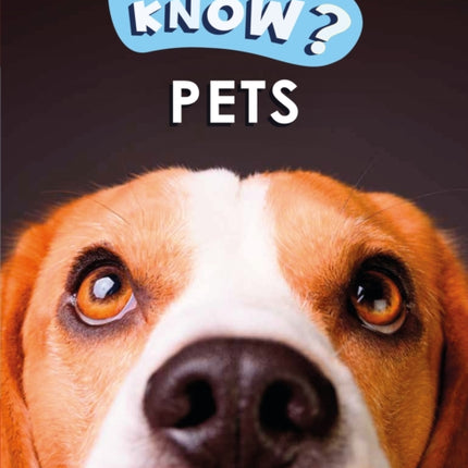 Do You Know Starter Level  Pets