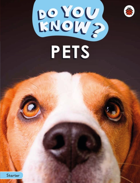 Do You Know Starter Level  Pets