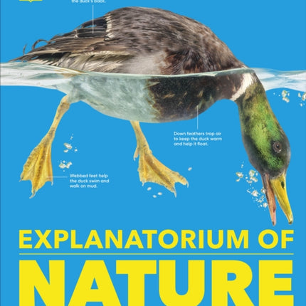 Explanatorium of Nature