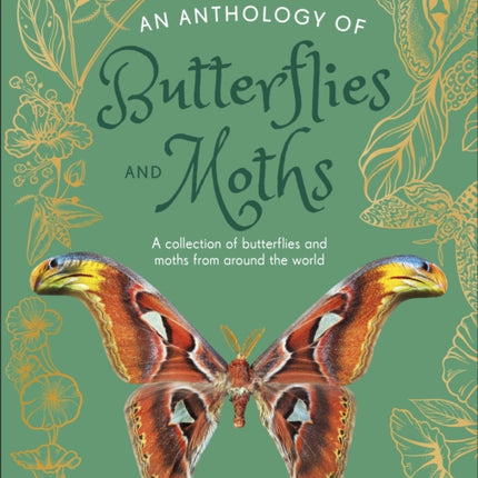 An Anthology of Butterflies and Moths