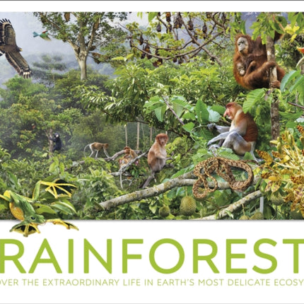 Rainforest