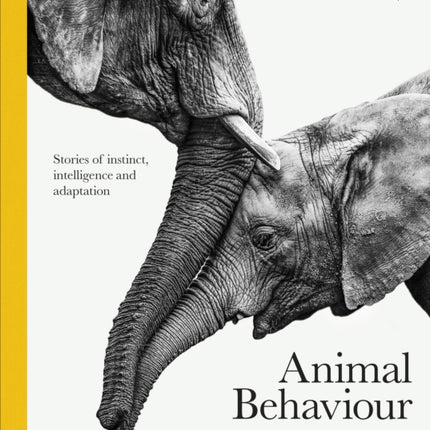 Animal Behaviour